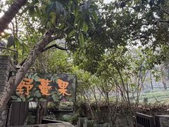 -野蔓果·山野菜(西湖景区·龙井茶田店)