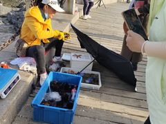 -黑石礁公园