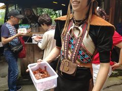 -优游吧斯邹族文化部落