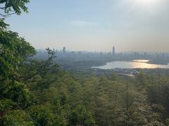 -紫金山山顶公园