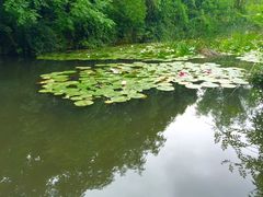 -白马涧龙池景区