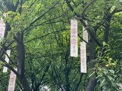 -西安大兴善寺