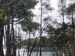 -荔湾湖公园