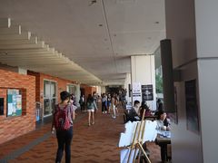 -香港大学