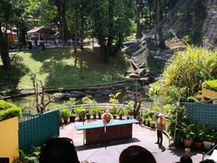 -吉隆坡雀鸟公园