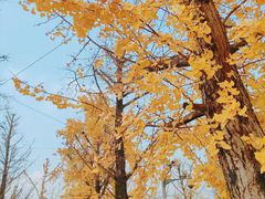 -两江幸福广场