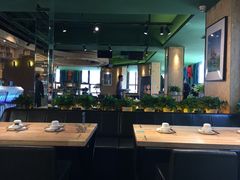 大堂-蒙料·手把肉(望京店)