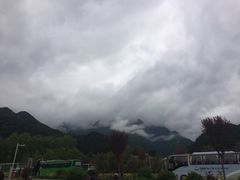 -王顺山国家森林公园