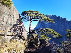 -黄山风景区