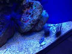 -上海海洋水族馆