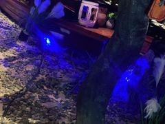 -绿茶餐厅(昆明世纪金源店)