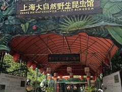 -上海大自然野生昆虫馆(东方明珠·爬宠昆虫探索中心)