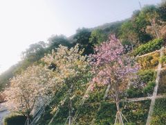 -小南山公园