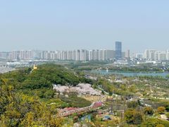 -苏州上方山国家森林公园