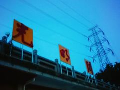 -光明港公园