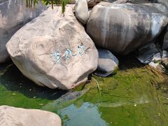 -崂山九水游览区