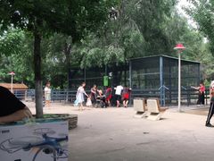 -长白岛森林公园