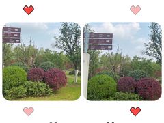 -武汉园博园(武汉自然博物馆)