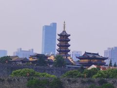 -鸡鸣赐茶(鸡鸣寺路店)