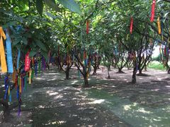 茂德公草堂-茂德公草堂