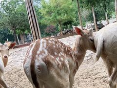 -石家庄市动物园