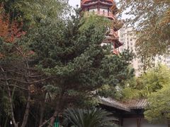 -绳金塔