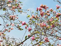 -文华公园(禅城区)