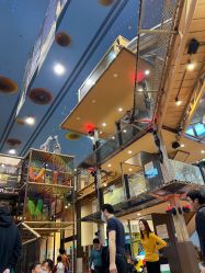 -卡通尼·Safari非洲探索乐园·生日会(金桥国际商业广场店)