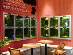 -芸山季·云南野生菌火锅(宝能环球汇店)