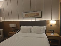 -徐州博顿温德姆酒店(高铁东站店)