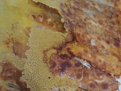 -品味居·首店·大连鲜活海鲜大连菜(东港店)