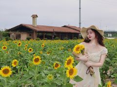 -杭州湾海上花田景区