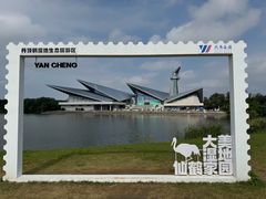 -盐城丹顶鹤湿地生态旅游区