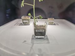 -贝林大翅鲸简餐厅(国家海洋博物馆店)