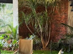 -J Create城市露营咖啡·简餐·宠物(上海动物园店)