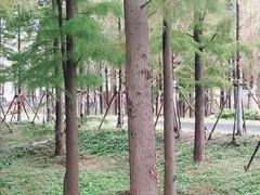 -春花秋色城市公园