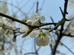 -三里河公园