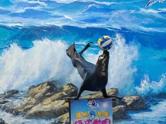 -左海海底世界