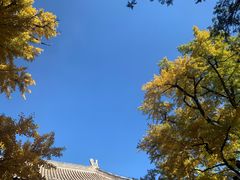 -红螺寺