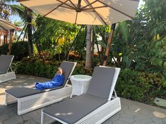 -味餐厅·海鲜·火锅·自助餐