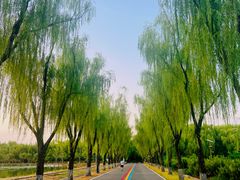 -兰陵国家农业公园