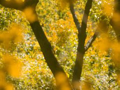 -上海交通大学(闵行校区)