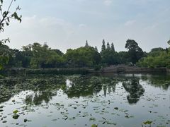 -无锡蠡湖国家湿地公园-蠡园