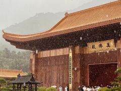 -深圳仙湖植物园
