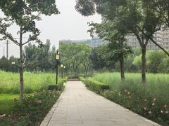 -西海子公园