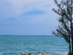-广东惠东海龟国家级自然保护区
