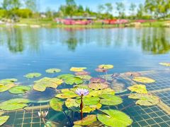 -上海植物园-4号门售票处