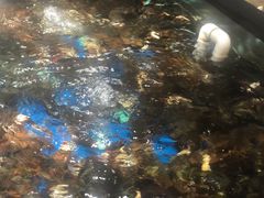 -盒马鲜生(馥邦国际店)