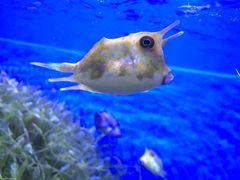 -多彩贵州城极地海洋世界