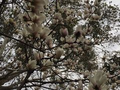 -四川大学(华西校区)